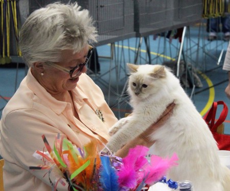 Anne Gro ? Kvänum oktober 2016